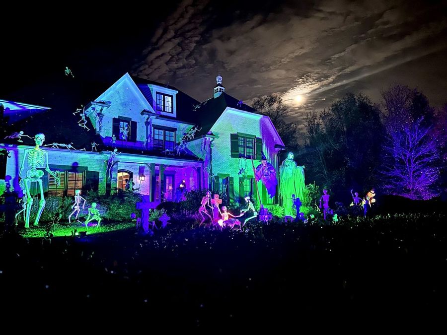 Property Image 62