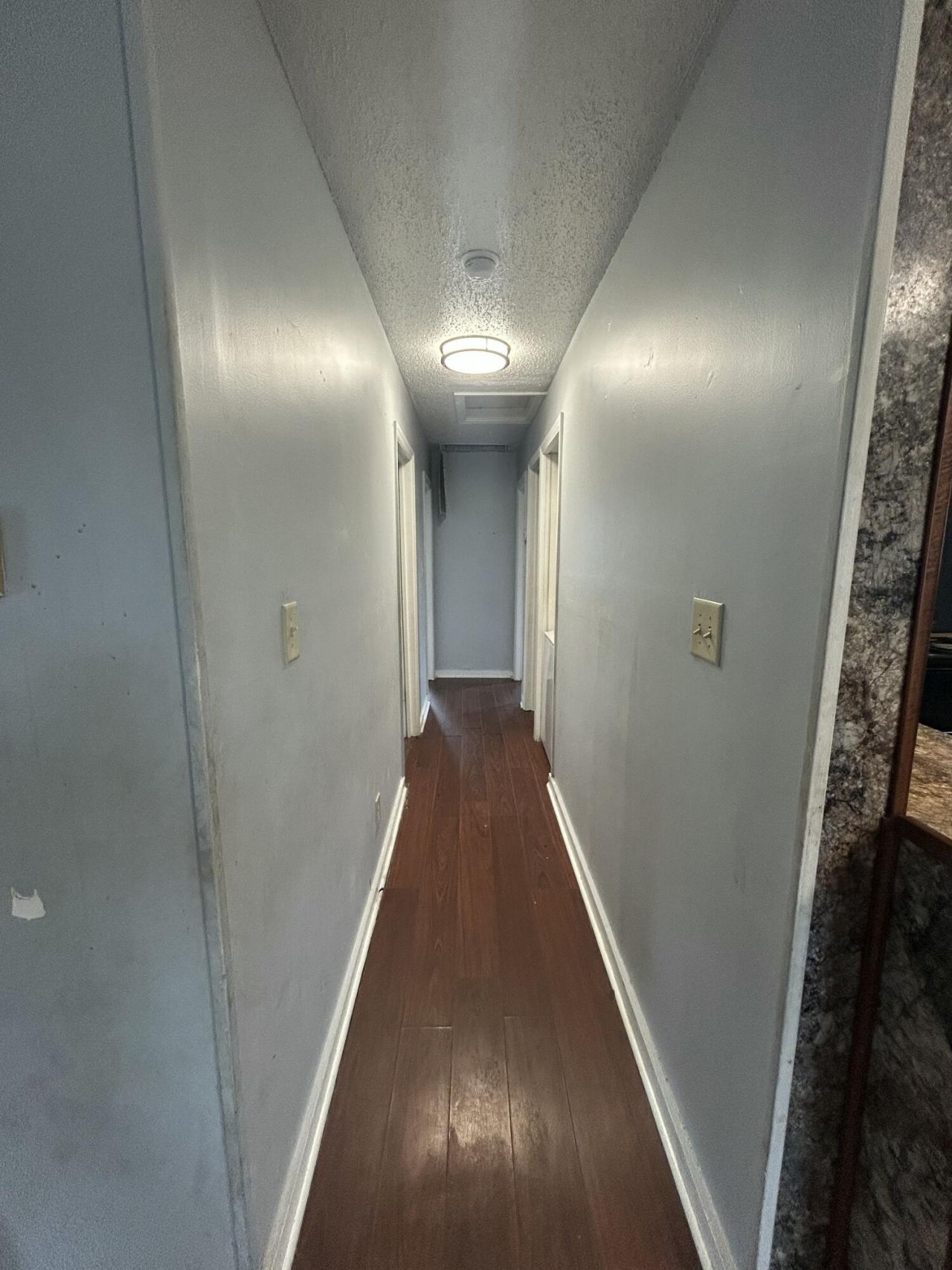 12 Sheppard Street Photo 9