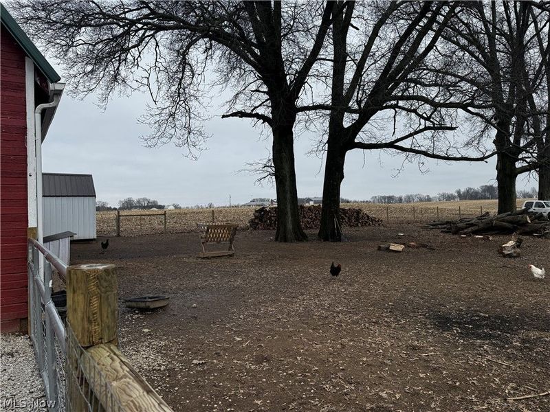 1551 Township Road 1153, Ashland, OH 44805 Photo 34