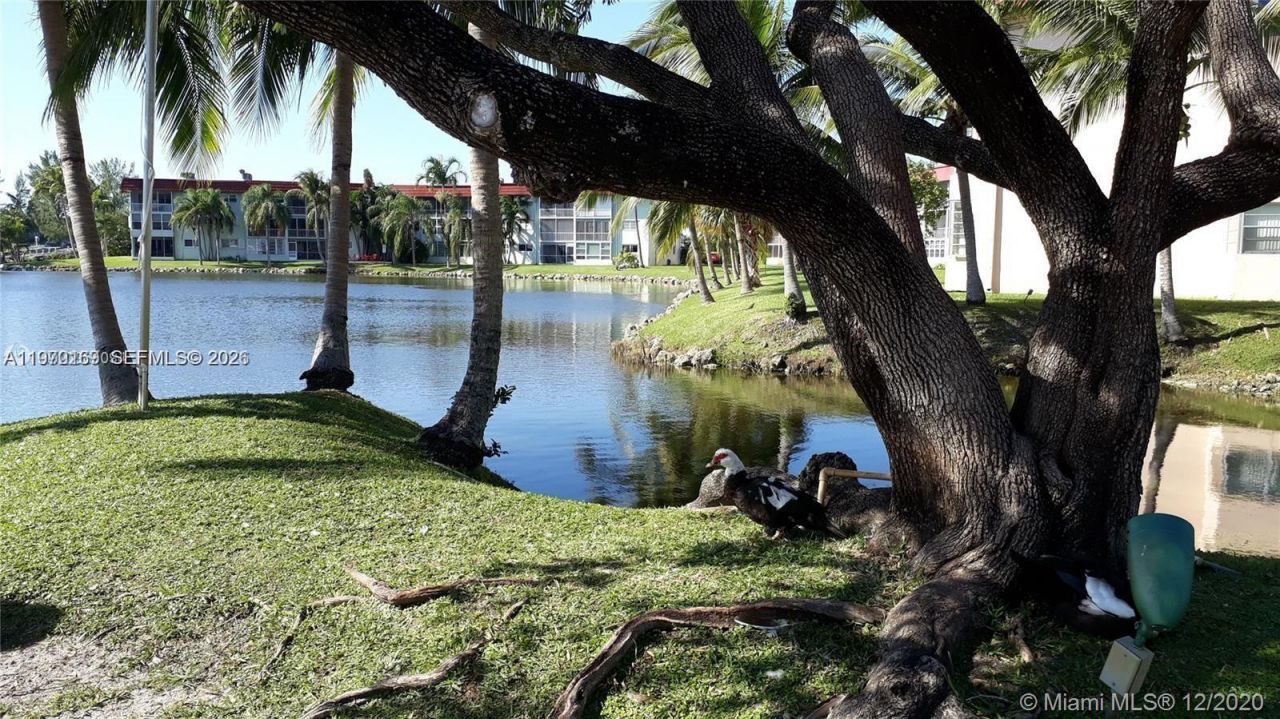 1540 NE 191st St , Unit 244, Miami, FL 33179 Photo