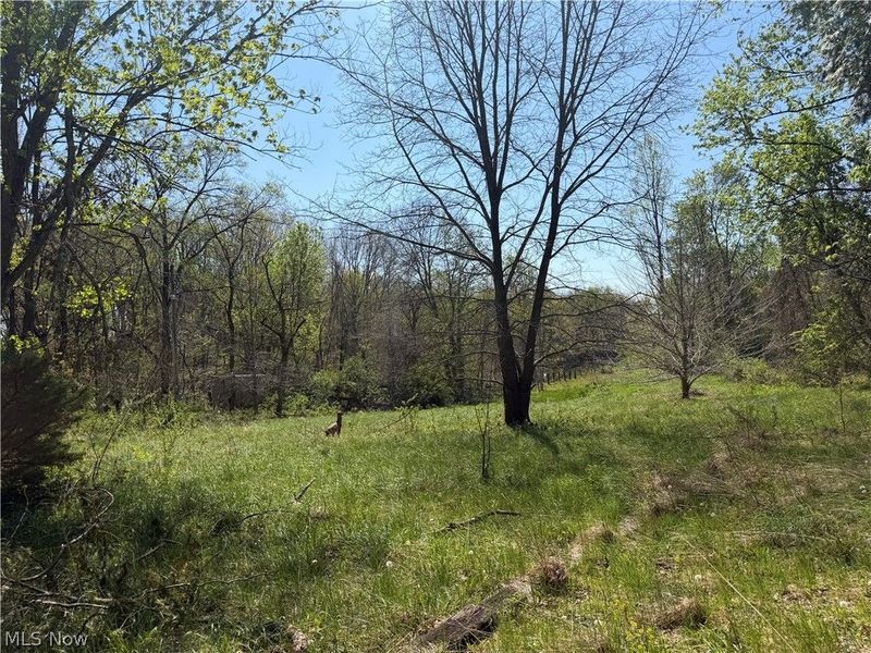 26774 Township Road 37, Coshocton, OH 43812 Photo 3