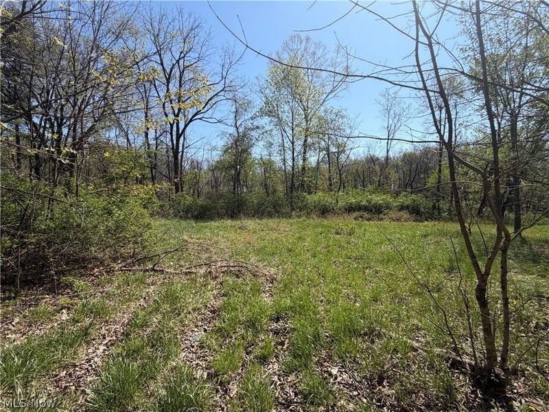 26774 Township Road 37, Coshocton, OH 43812 Photo 4