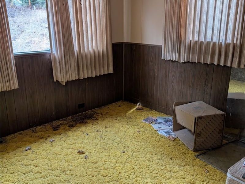 26774 Township Road 37, Coshocton, OH 43812 Photo 6