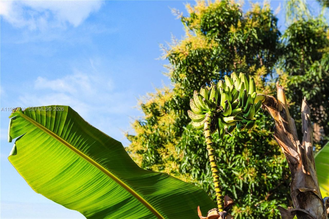 17341 SW 74th Ave , Palmetto Bay, FL 33157 Photo