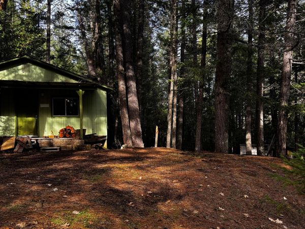 140 Draper Valley Road, Selma, OR 97538