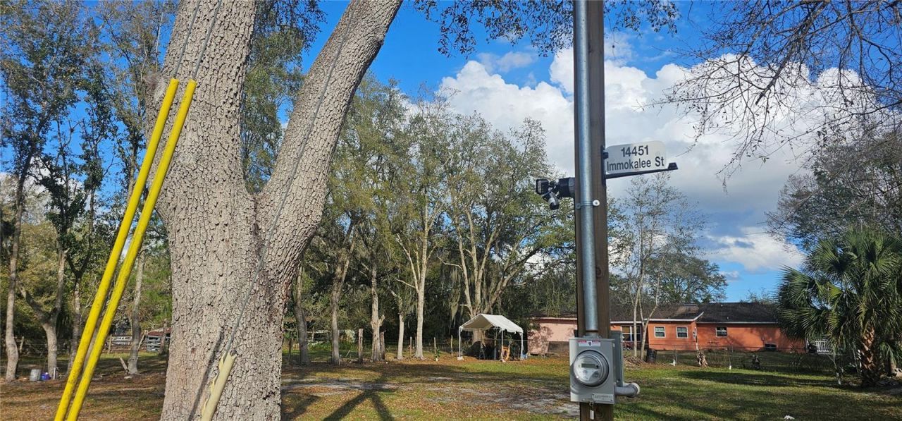 Immokalee Street , Intercession City, FL 33848 Photo