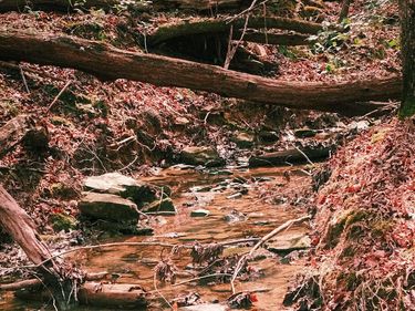 000 Ferguson Road, Chapel Hill, NC 27516