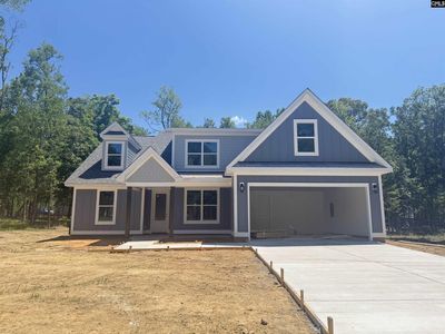1008 Refuge Place, Chapin, SC 29036