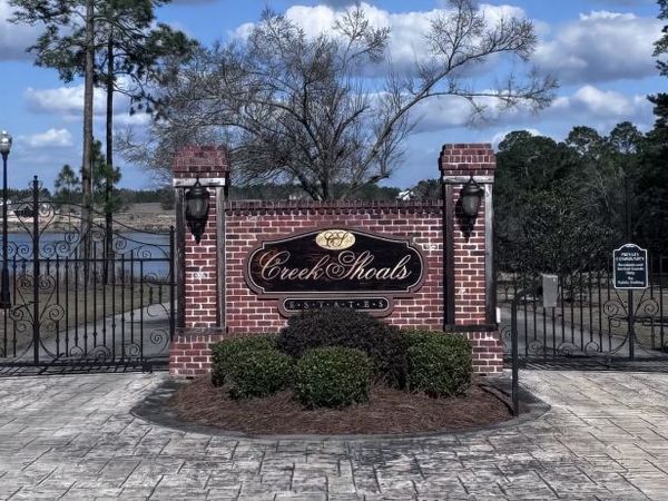 LOT 2 Thompsons Level Road, Lyons, GA 30436