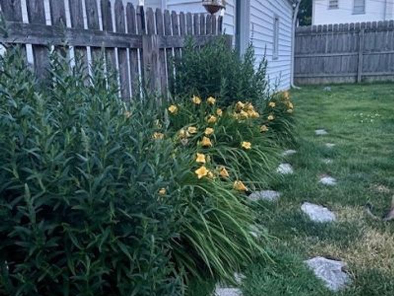 119 Cornell Avenue, Elyria, OH 44035 Photo 6