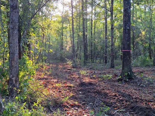 Highway 26 , Wiggins, MS 39577