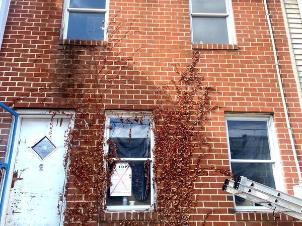 4138 ORCHARD STREET, PHILADELPHIA, PA 19124