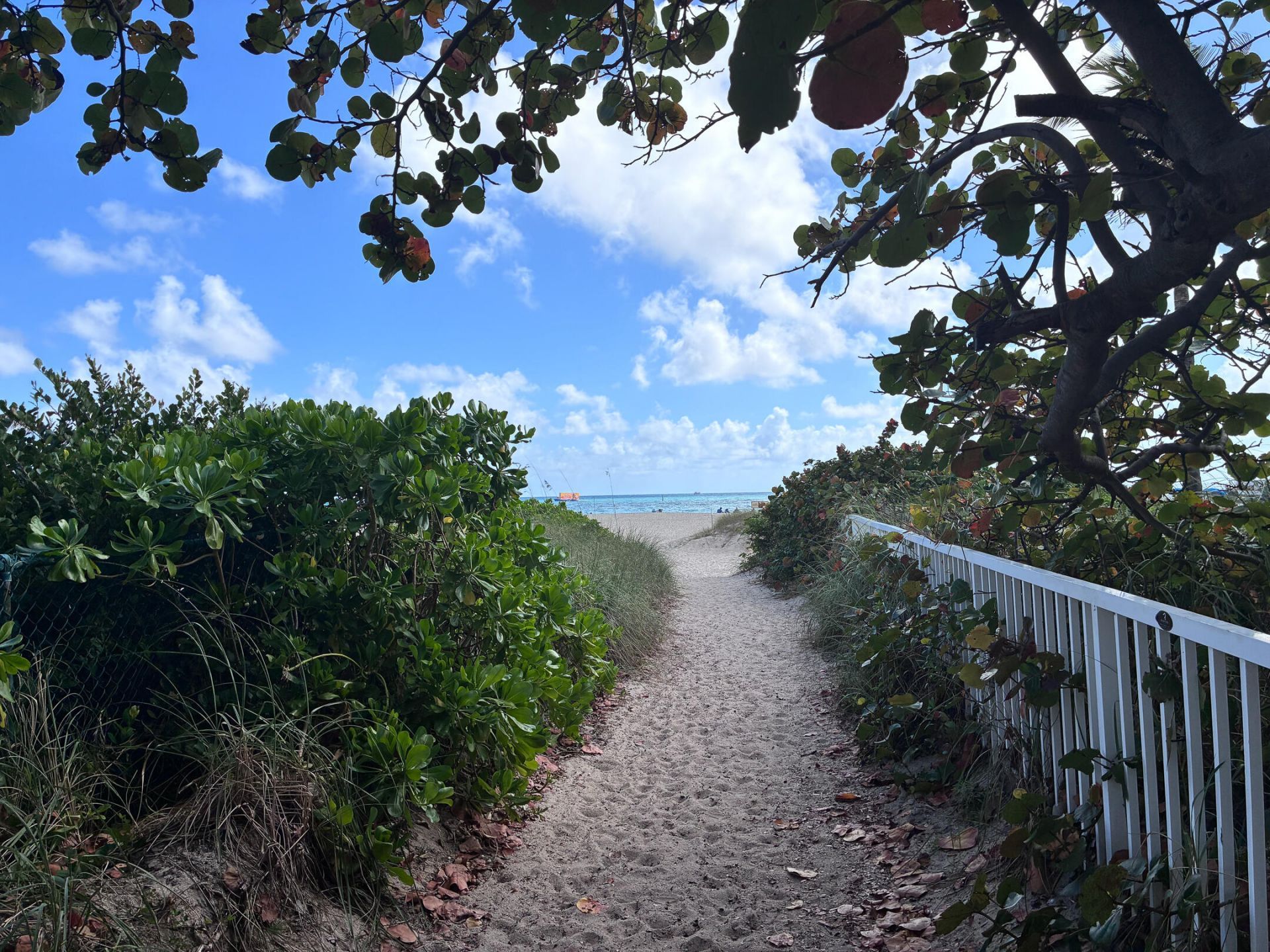 2000 S Ocean Drive, Unit 810, Fort Lauderdale, FL 33316 Photo