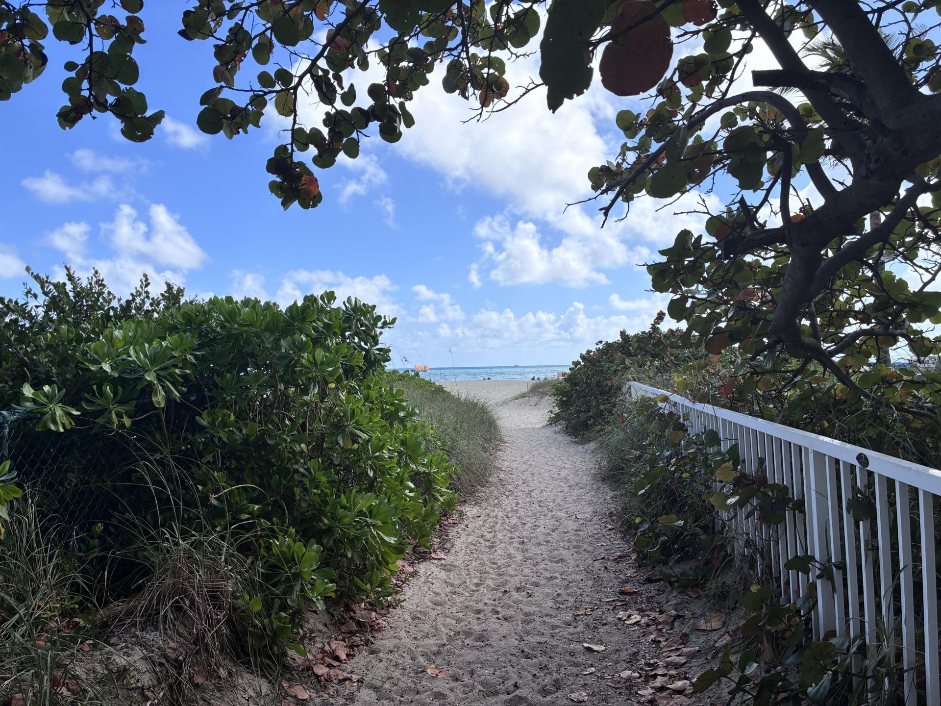 2000 S Ocean Drive, Unit 810, Fort Lauderdale, FL 33316 Photo