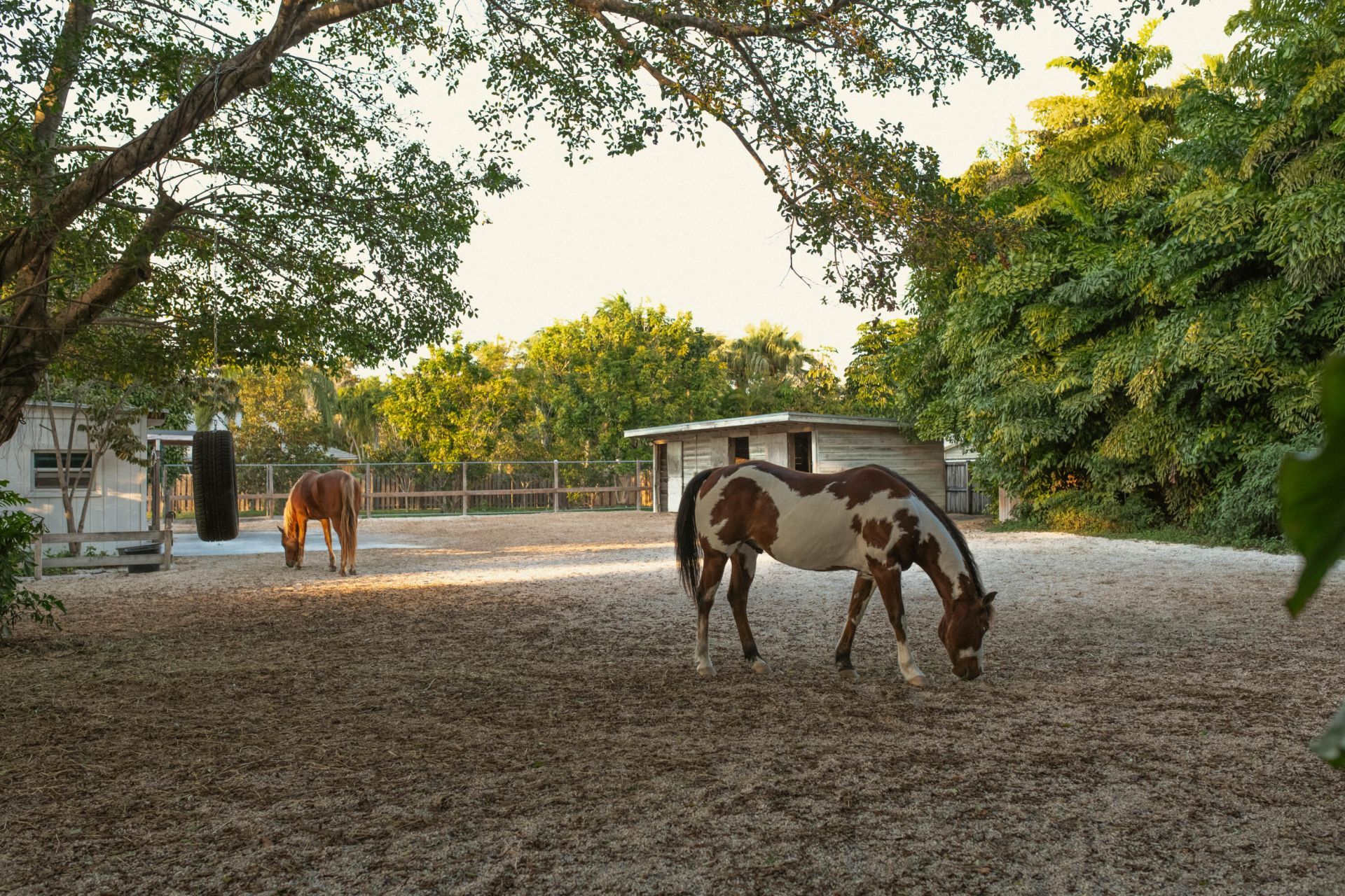 12301 SW 107th Avenue, Miami, FL 33176 Photo