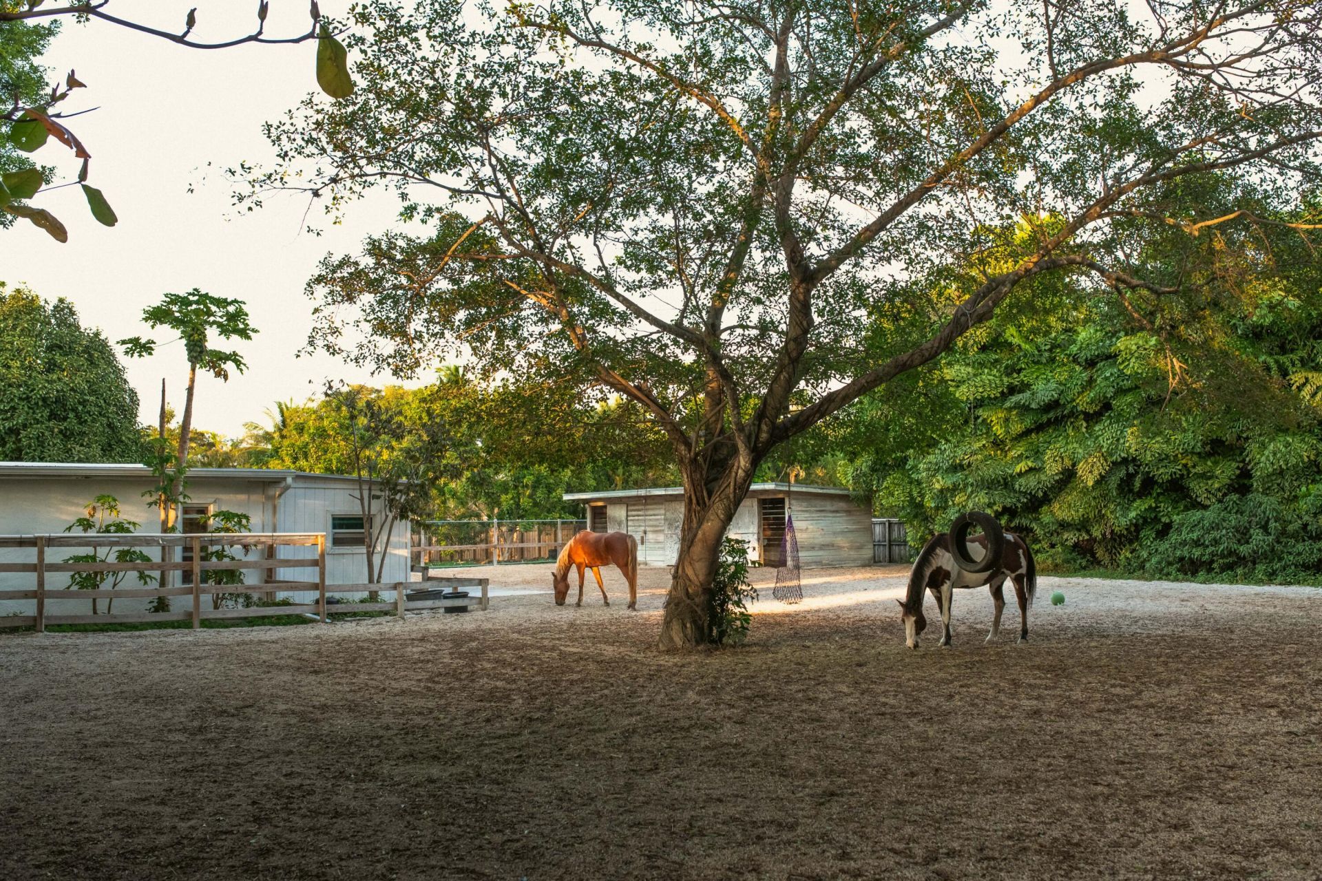 12301 SW 107th Avenue, Miami, FL 33176 Photo