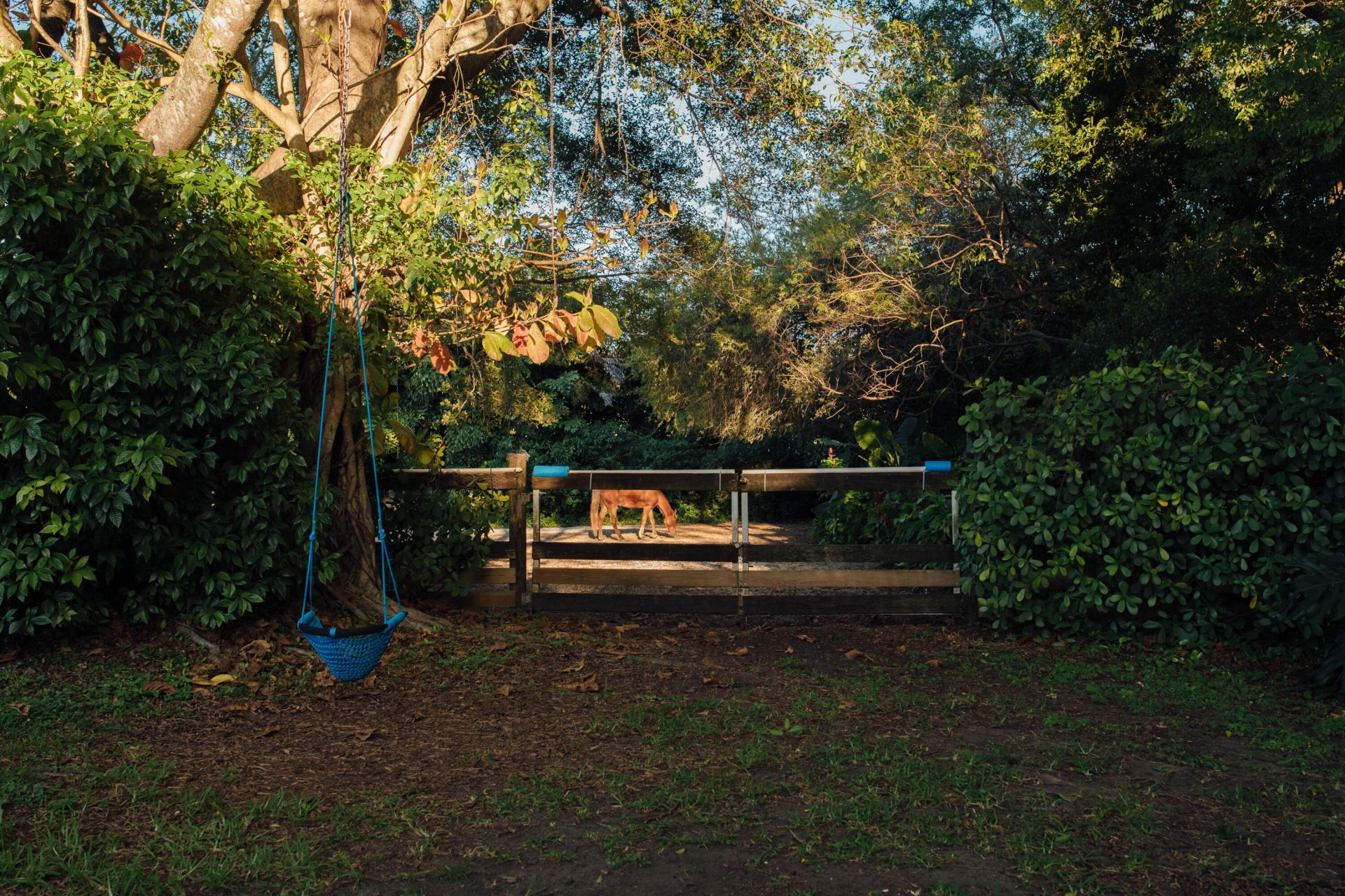 12301 SW 107th Avenue, Miami, FL 33176 Photo