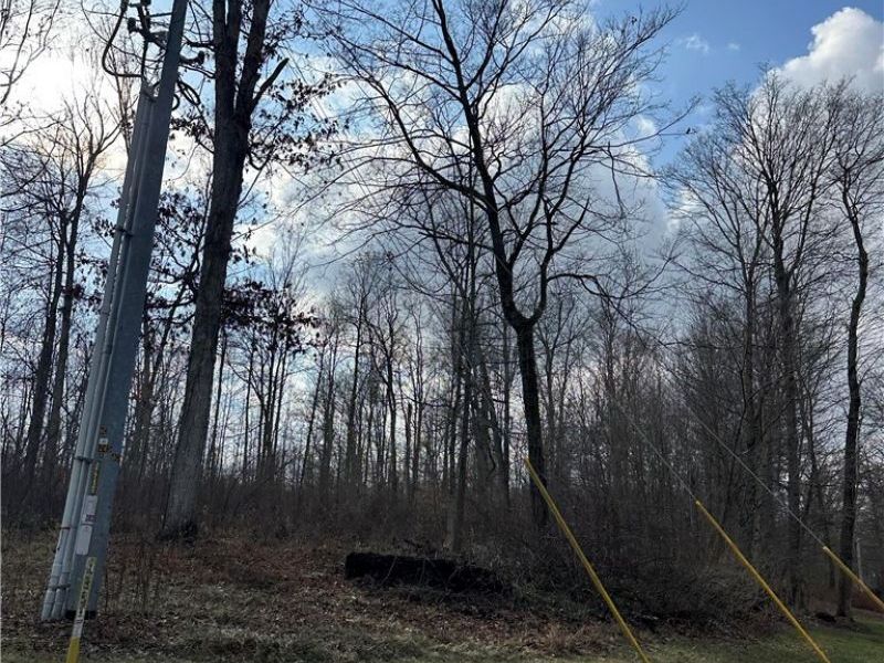 12651 Grant Road , Howard, OH 43028 Photo 1