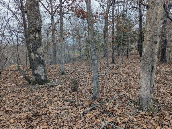 Littrell Drive , Bella Vista, AR 72714