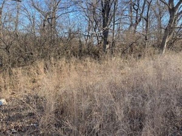 Lot 31 Country Club Cove Drive, Lake Ozark, MO 65049