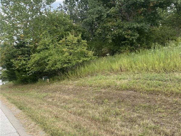 Lot 29 Country Club Cove Drive, Lake Ozark, MO 65049
