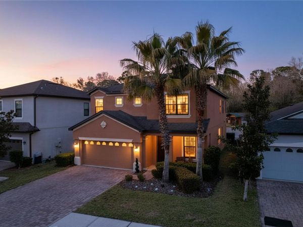 15246 ANGUILLA ISLE AVENUE, TAMPA, FL 33647