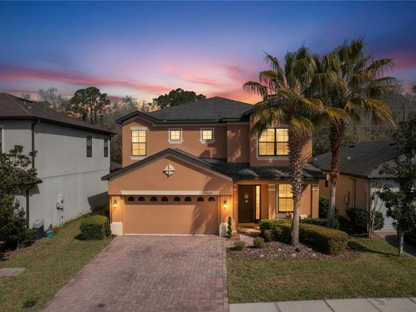 15246 ANGUILLA ISLE AVENUE, TAMPA, FL 33647