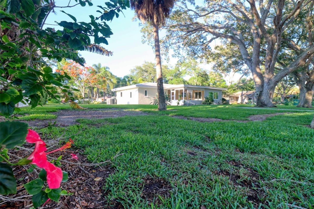 5 Shore Drive, Dunedin, FL 34698 Photo