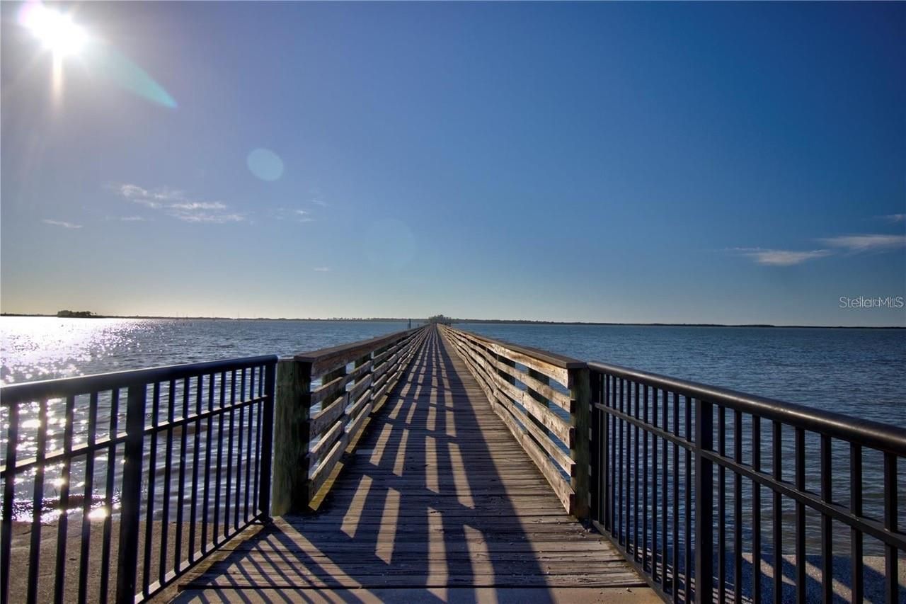 5 Shore Drive, Dunedin, FL 34698 Photo