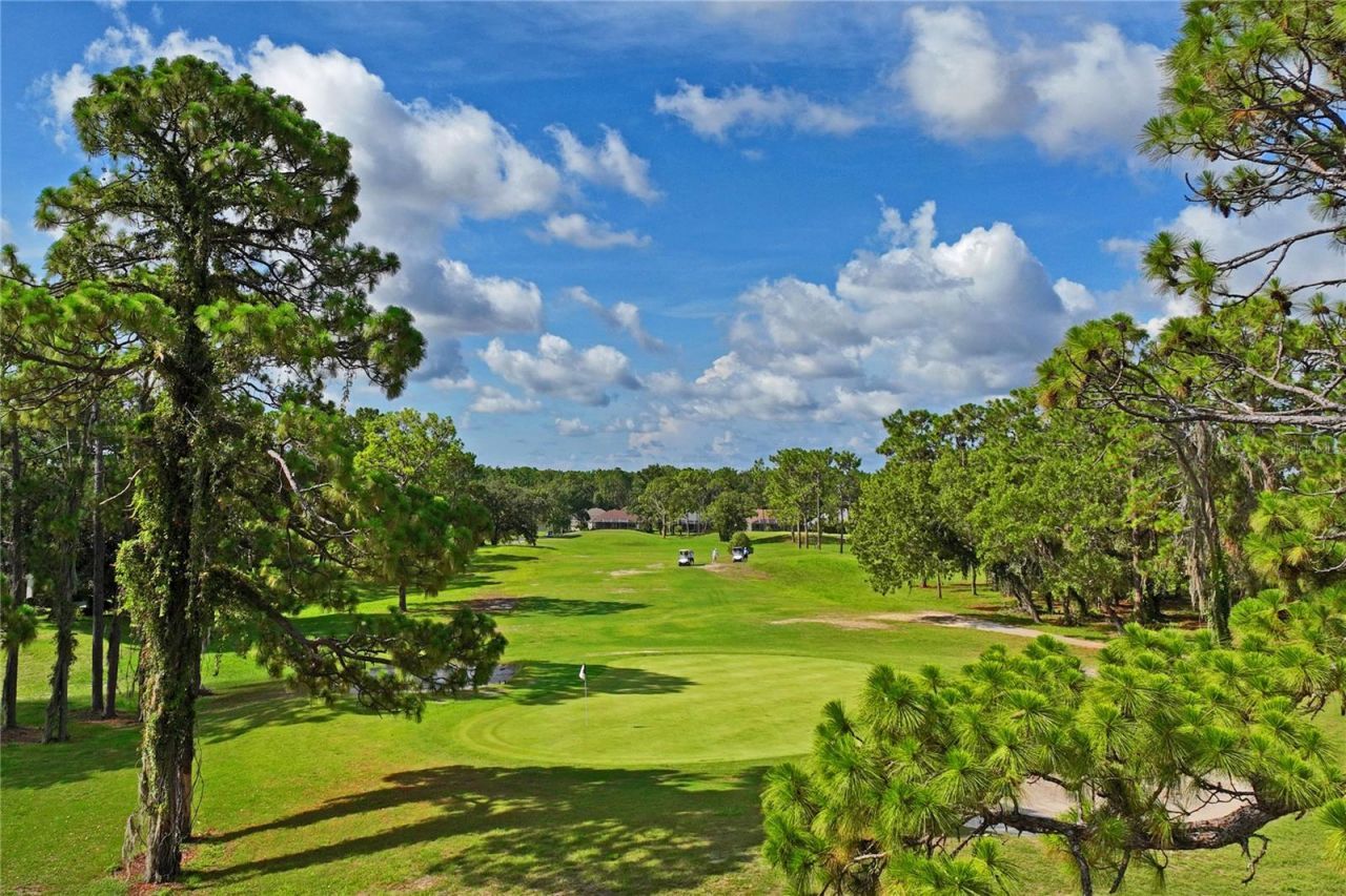 14465 Middle Fairway Drive , Spring Hill, FL 34609 Photo