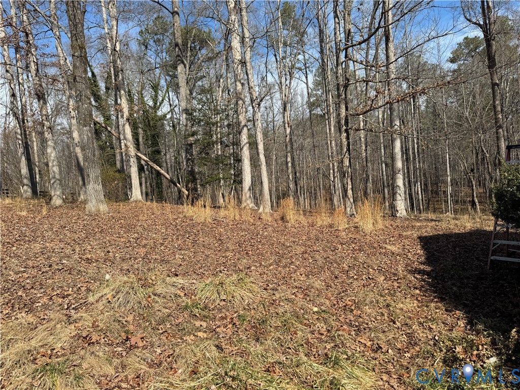 2150 Eastwood Pine Court Powhatan, VA 23120