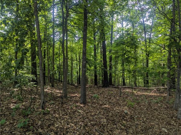 Portsmouth Drive, Bella Vista, AR 72715