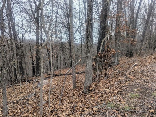 Portsmouth Drive , Bella Vista, AR 72715