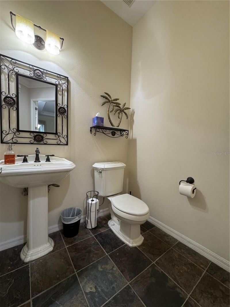 21001 Lake Vienna Drive, Land O Lakes, FL 34638 Photo