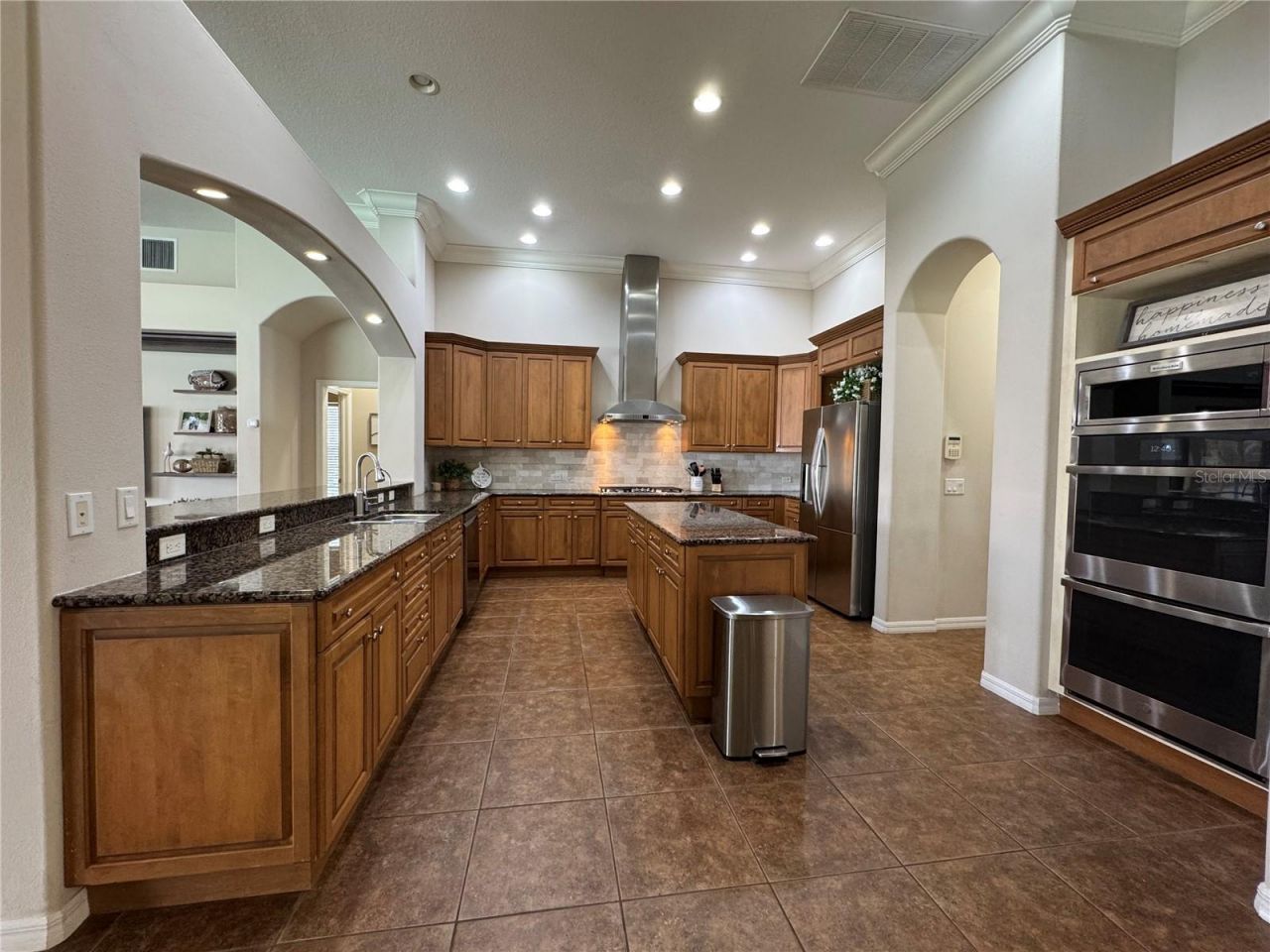 21001 Lake Vienna Drive, Land O Lakes, FL 34638 Photo