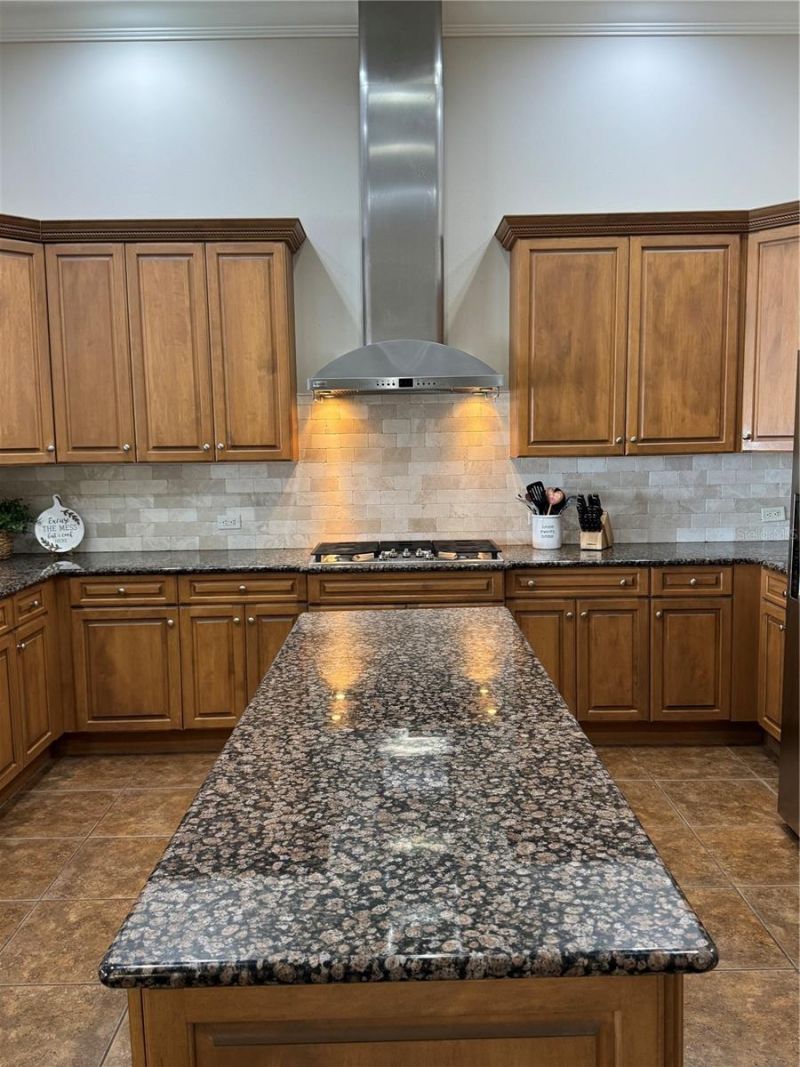 21001 Lake Vienna Drive, Land O Lakes, FL 34638 Photo