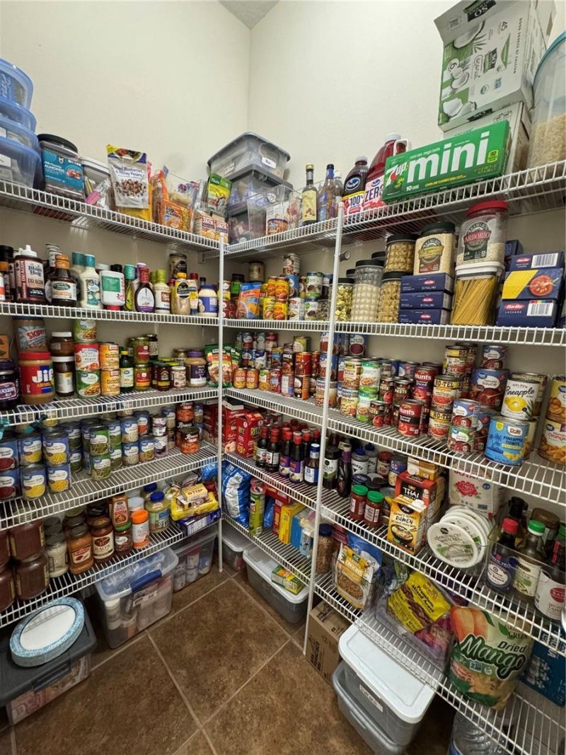 21001 Lake Vienna Drive, Land O Lakes, FL 34638 Photo