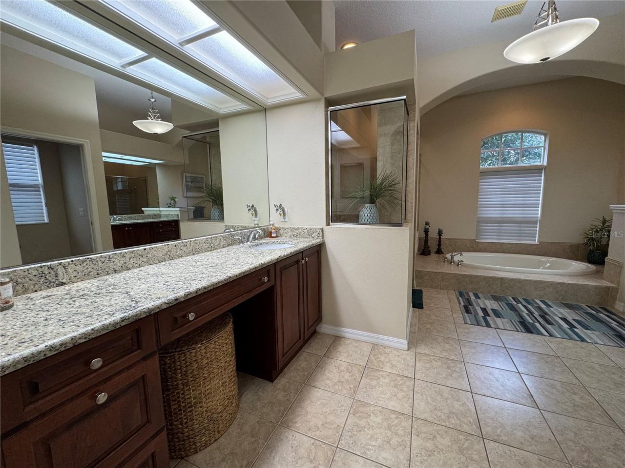 21001 Lake Vienna Drive, Land O Lakes, FL 34638 Photo