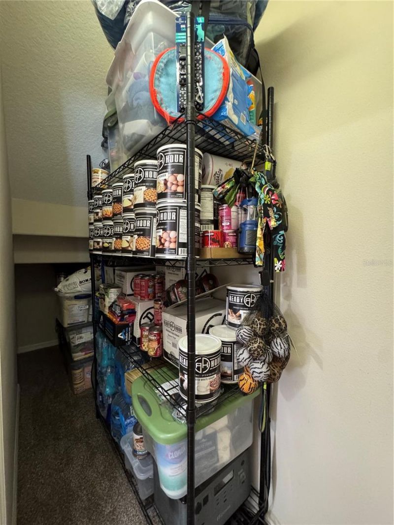 21001 Lake Vienna Drive, Land O Lakes, FL 34638 Photo