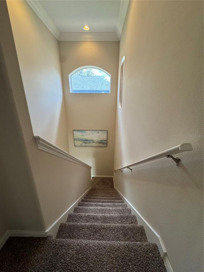 21001 Lake Vienna Drive, Land O Lakes, FL 34638 Photo