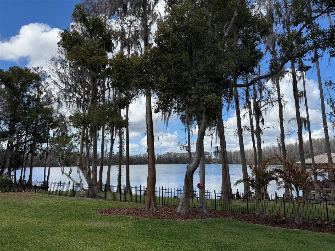 21001 Lake Vienna Drive, Land O Lakes, FL 34638 Photo