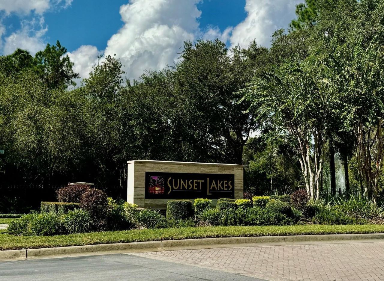 21001 Lake Vienna Drive, Land O Lakes, FL 34638 Photo