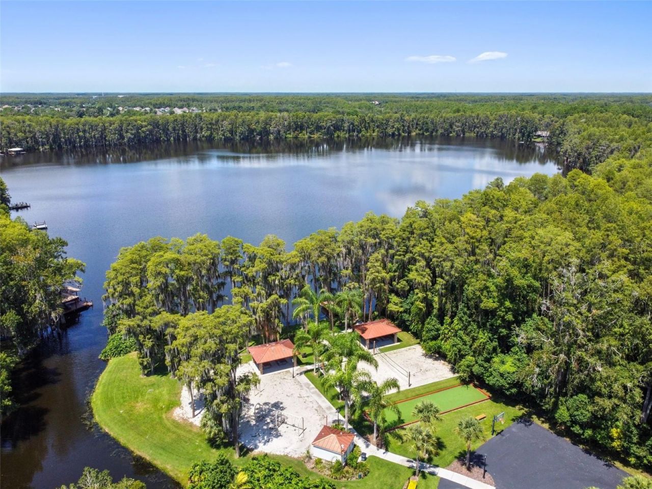 21001 Lake Vienna Drive, Land O Lakes, FL 34638 Photo
