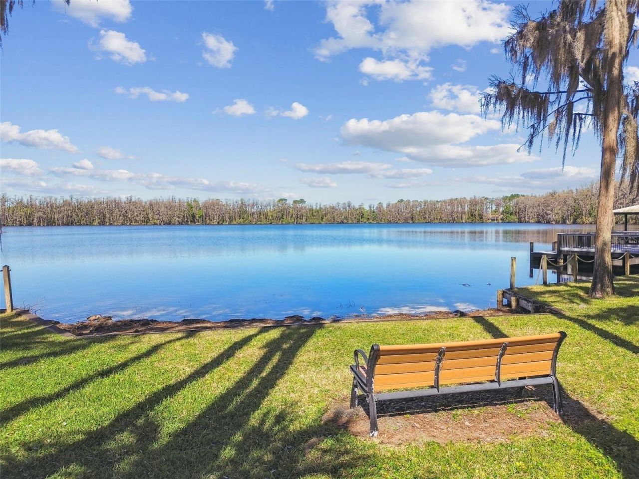 21001 Lake Vienna Drive, Land O Lakes, FL 34638 Photo
