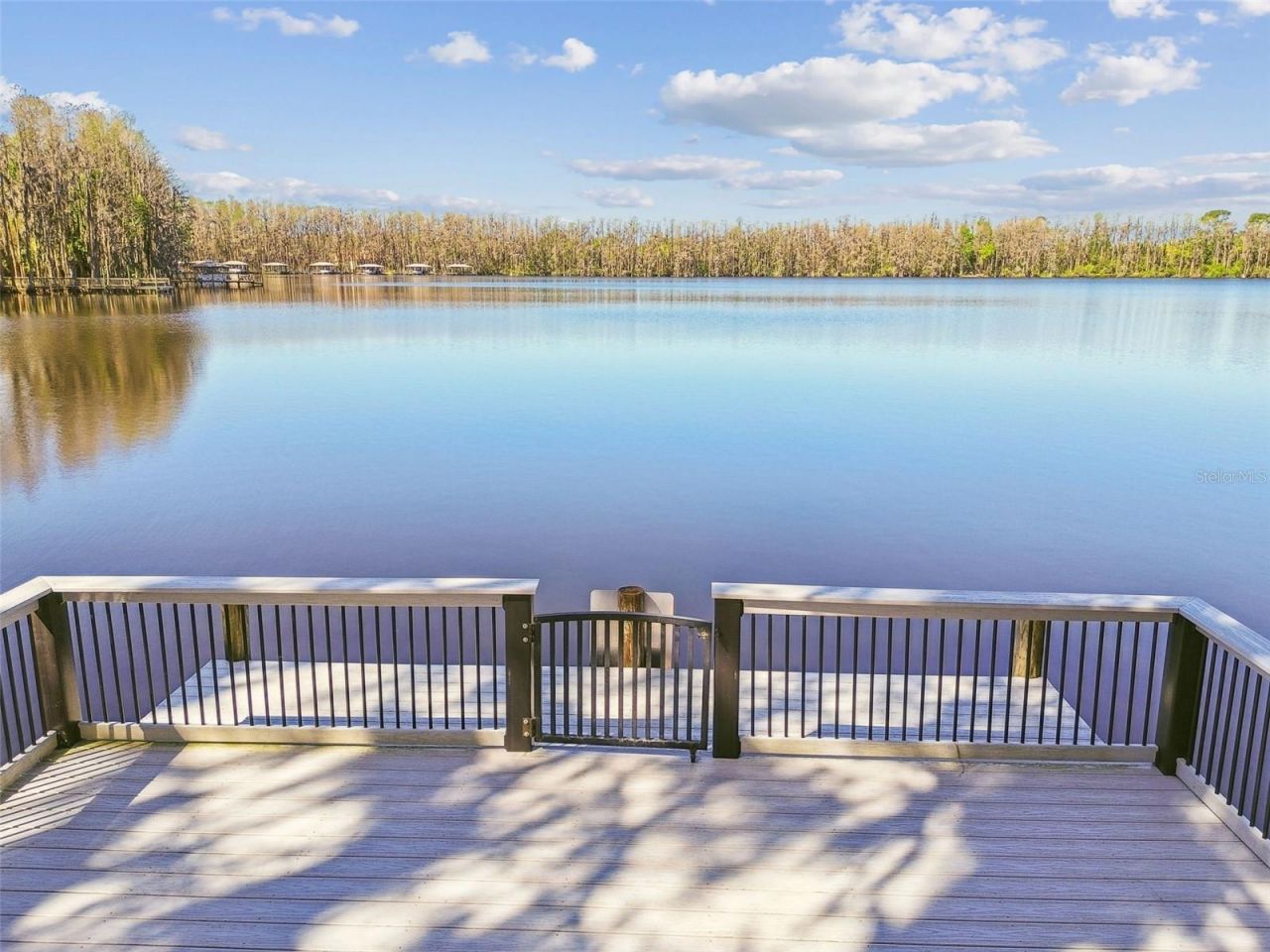 21001 Lake Vienna Drive, Land O Lakes, FL 34638 Photo