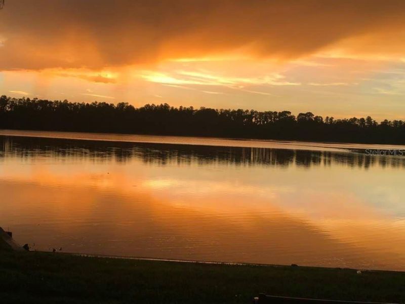 21001 Lake Vienna Drive, Land O Lakes, FL 34638 Photo