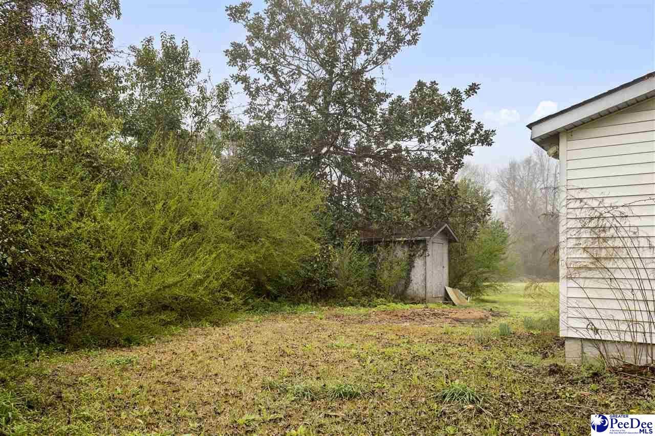 67 Harmon St Photo 19