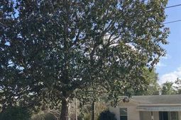 67 Harmon St photo 4