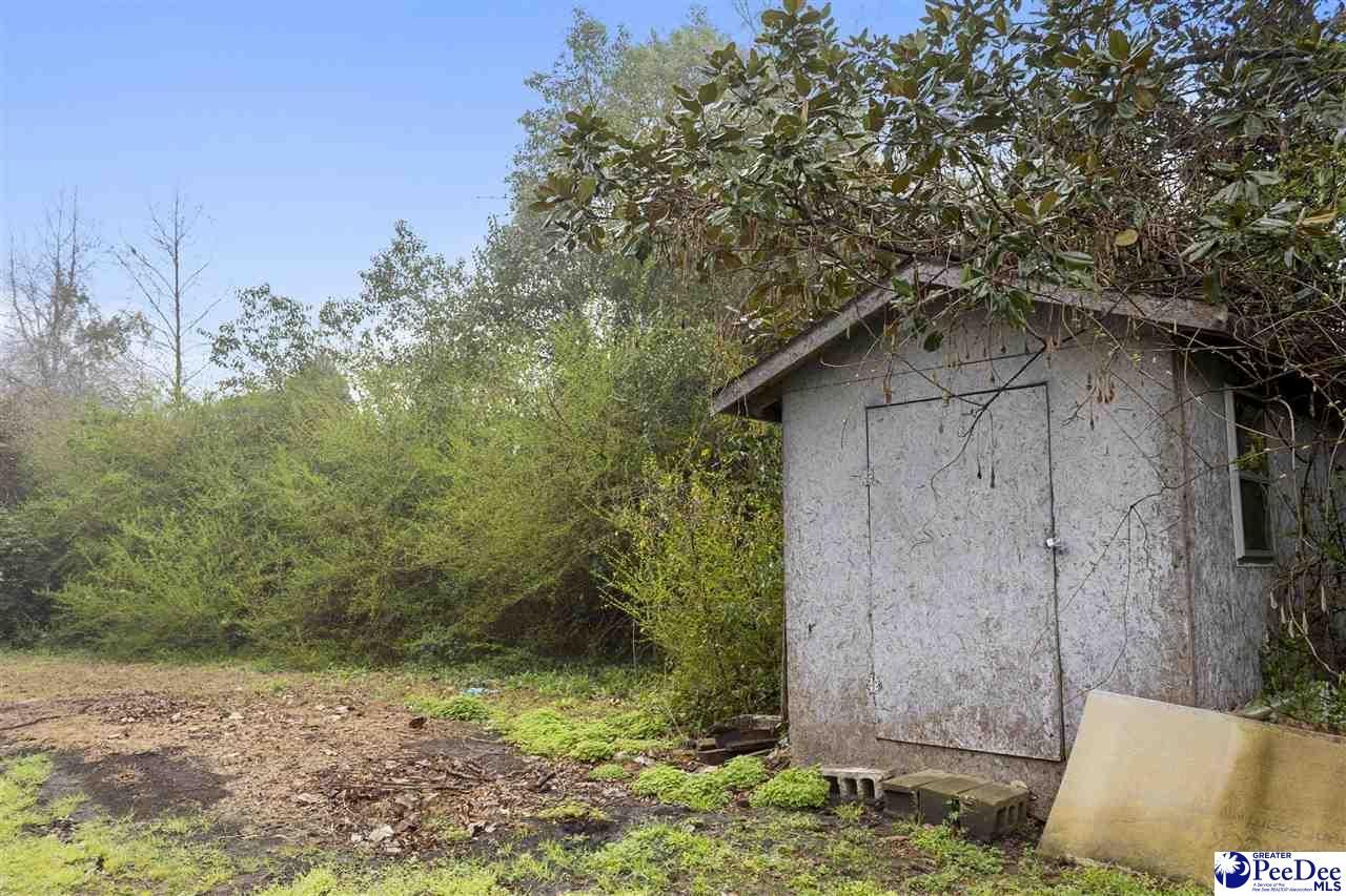 67 Harmon St Photo 21