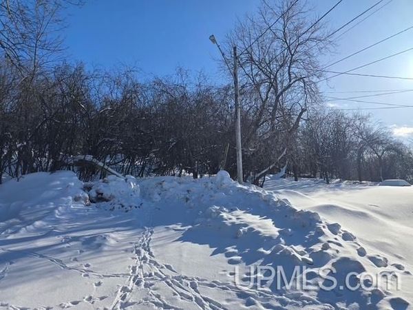 TBD Pewabic Street, Iron Mountain, MI 49801